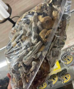 Buy Cubensis Mushrooms At Very Affordable Prices