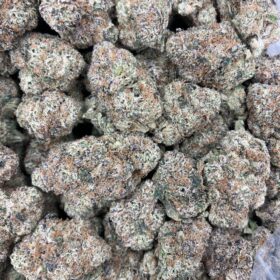 gumbo strain Online At Best Prices |Trappy Exotics Menu