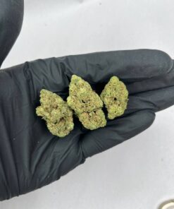 white widow weed strain