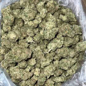 Discover the legendary AK-47 weed strain at Trappy Exotics! Renowned for its bold flavor, powerful high, and premium quality. Order now ..