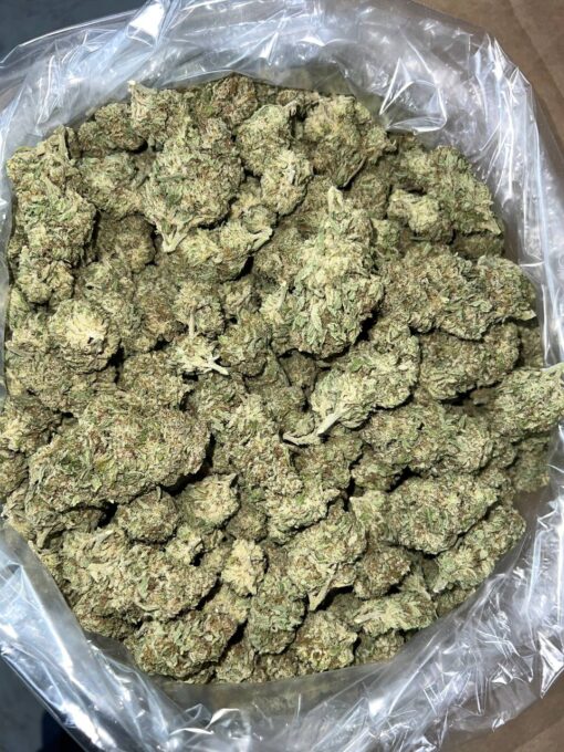 Discover the legendary AK-47 weed strain at Trappy Exotics! Renowned for its bold flavor, powerful high, and premium quality. Order now ..