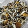JMF Mushrooms: Potent Psilocybe cubensis for Profound Psychedelic Exploration