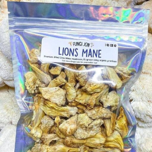 lions mane mushroom recipes​