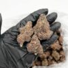 fanta weed strain