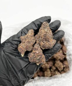 fanta weed strain