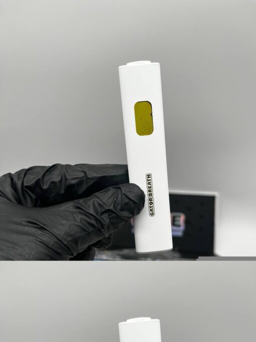 cake 2g disposable​ | Potent Delta Vape Pen