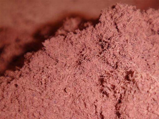 Buy Ayahuasca Powder Online | Affordable Retreat Alternative