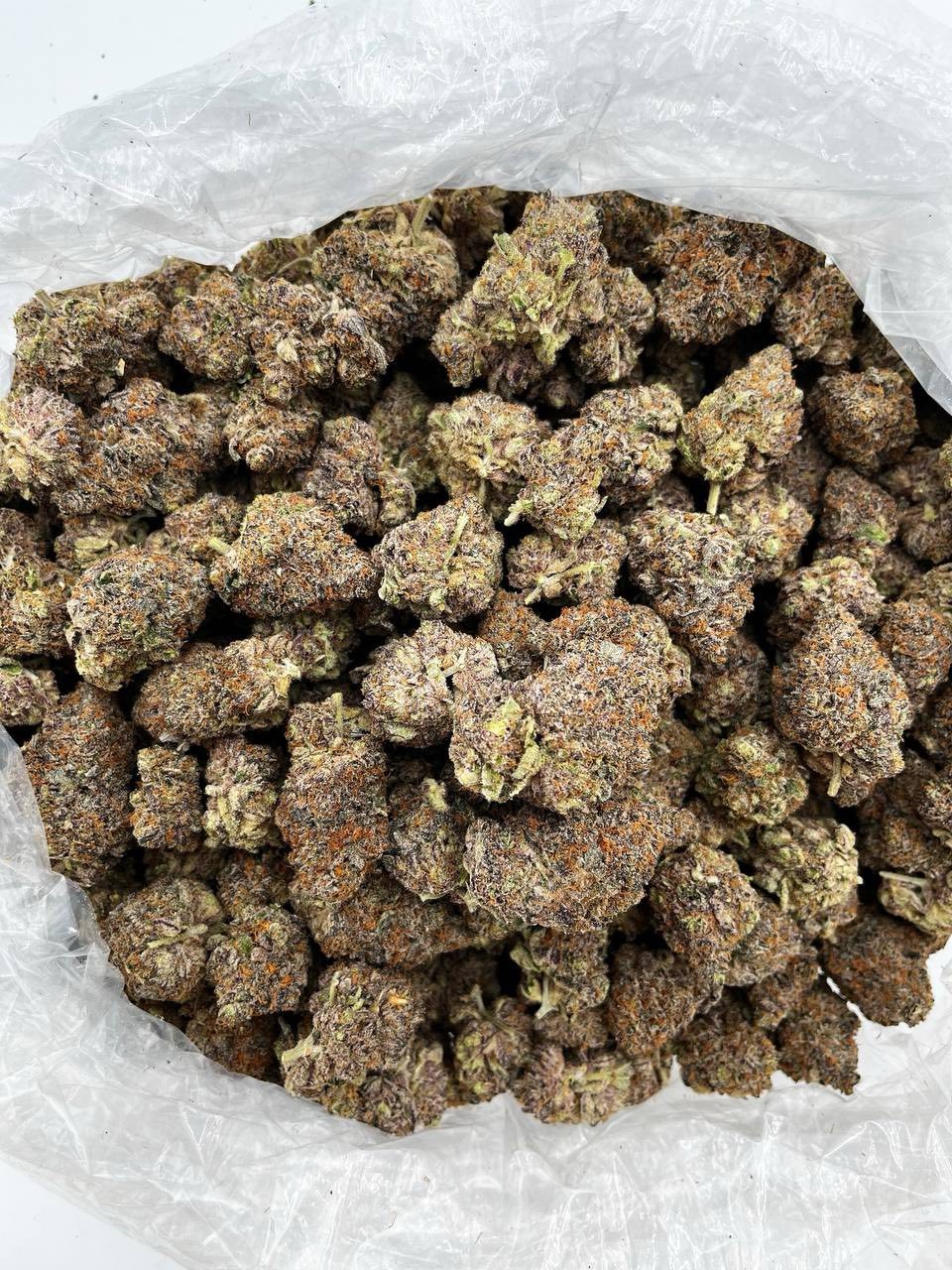 blue-lobster-strain-award-winning-cannabis-flower blue-lobster-strain-award-winning-cannabis-flower