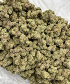 zmo-cannabis-strain-zkittlez-mochi-hybrid-flower