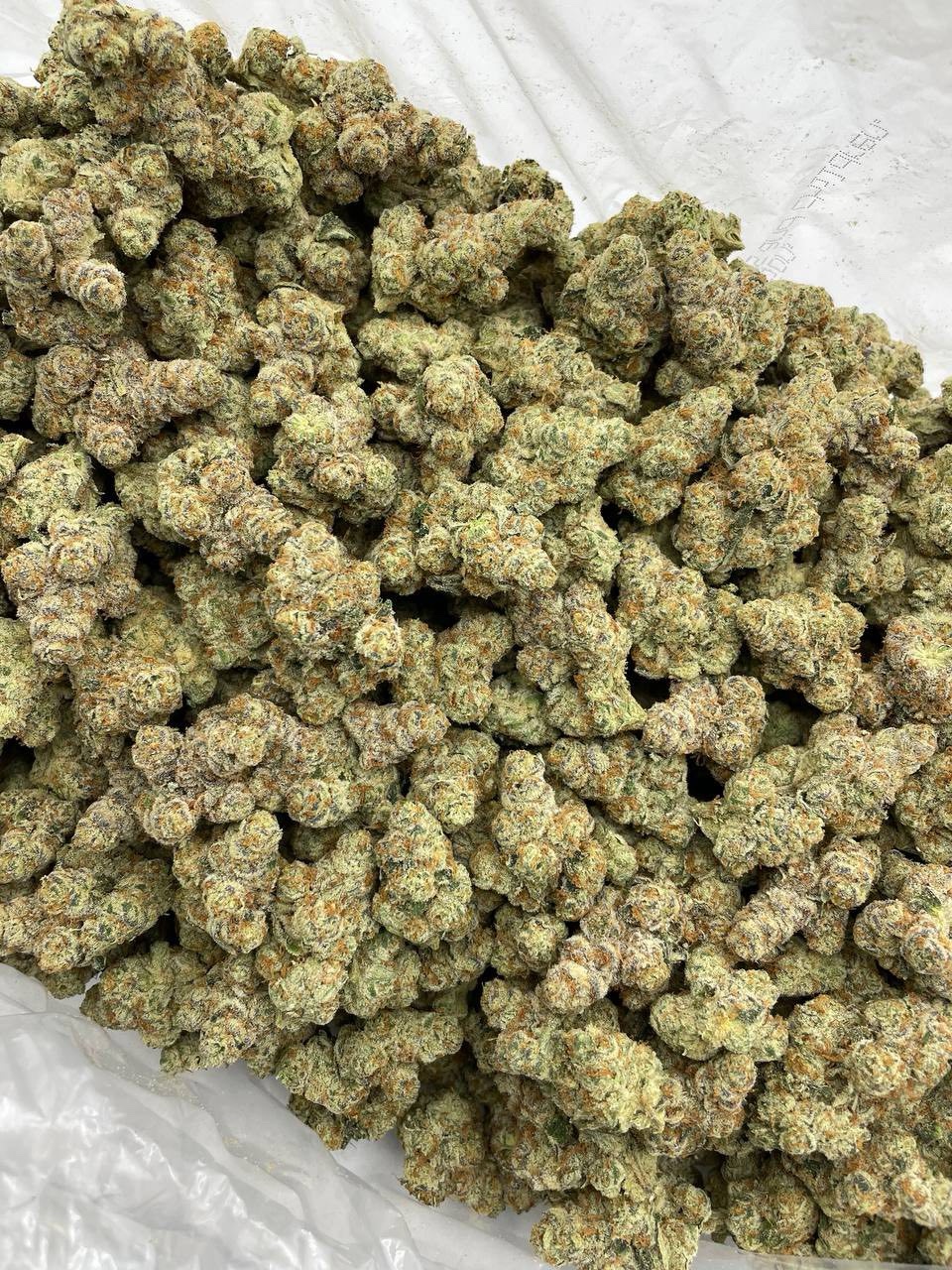 zmo-cannabis-strain-zkittlez-mochi-hybrid-flower zmo-cannabis-strain-zkittlez-mochi-hybrid-flower