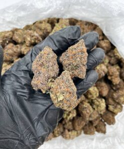 blue-lobster-weed-trichomes-thc-potency